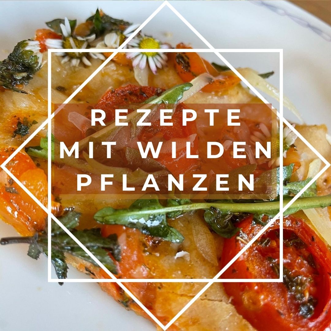 Rezepte mit wilden Pflanzen